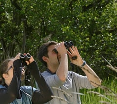 Wild bird survey is a walk in the park