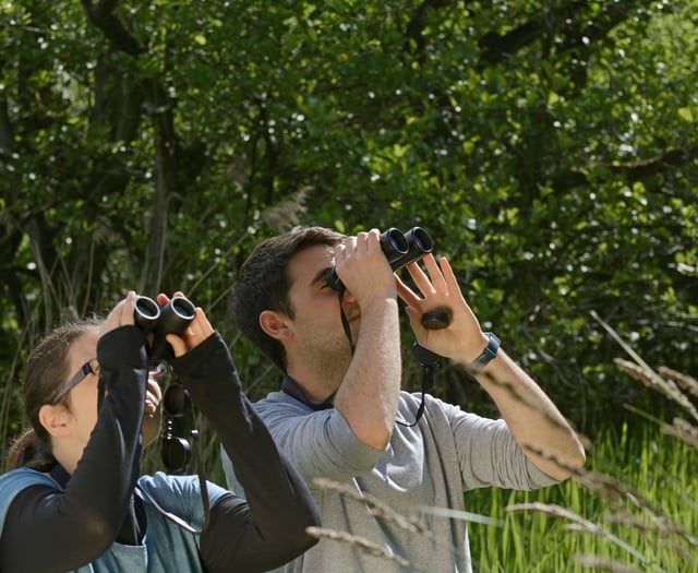 Wild bird survey is a walk in the park
