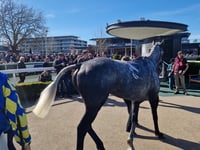 Peter Moore horse racing column: Dan Skelton breaks £4 million barrier
