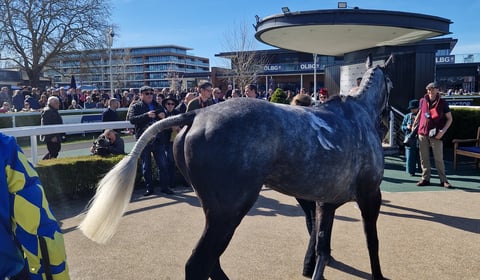 Peter Moore horse racing column: Dan Skelton breaks £4 million barrier