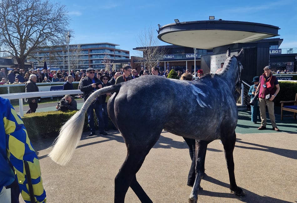 Peter Moore horse racing column: Dan Skelton breaks £4 million barrier