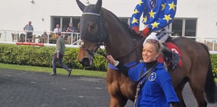 Henderson gears up for Constitution Hill's next Kempton appearance