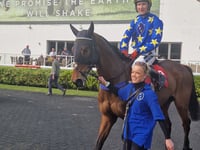 Henderson gears up for Constitution Hill's next Kempton appearance