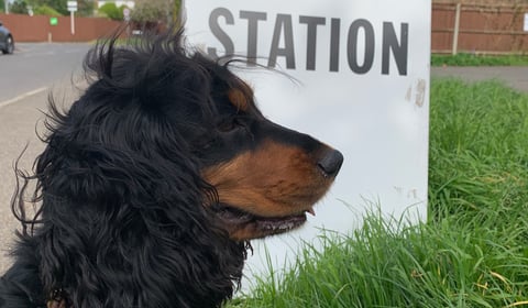 Why the Surrey local elections will be different this year