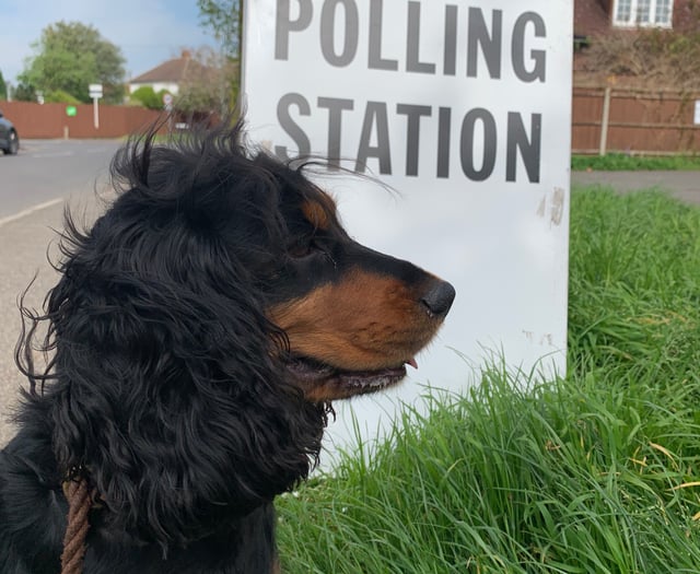 Why the Surrey local elections will be different this year