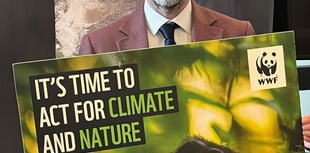 Young minds, WWF and local elections