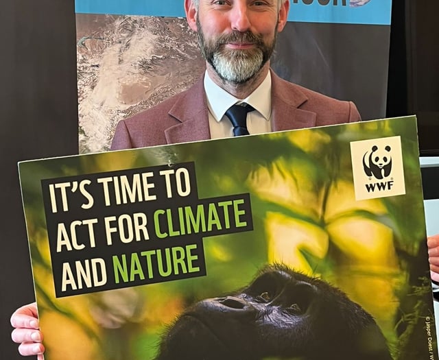 Young minds, WWF and local elections