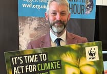 My busy weeks backing young minds, the WWF and local elections