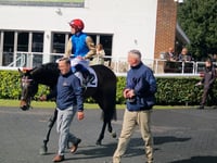 Godolphin’s King’s Trail wins mile conditions race at Kempton Park