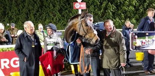 Constitution Hill shines at Kempton with comfortable all-weather win