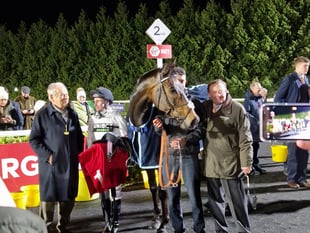 Constitution Hill shines at Kempton with comfortable all-weather win