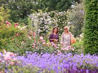 Name dropping could win you free day out at Wisley