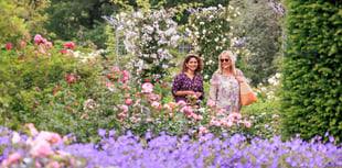 Name dropping could win you free day out at Wisley