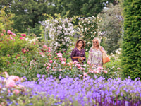 Name dropping could win you free day out at Wisley