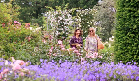 Name dropping could win you free day out at Wisley