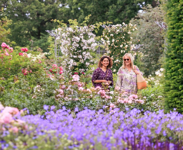 Name dropping could win you free day out at Wisley