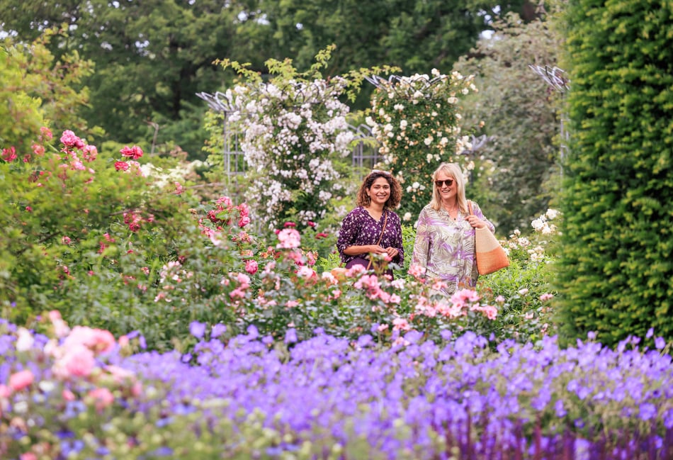 Name dropping could win you free day out at Wisley