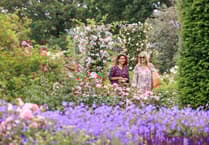 Name dropping could win you free day out at Wisley