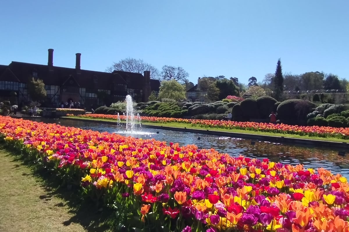 Hurray for spring and Mother Nature's colours