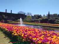 Hurray for spring and Mother Nature