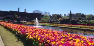 Hurray for spring and Mother Nature