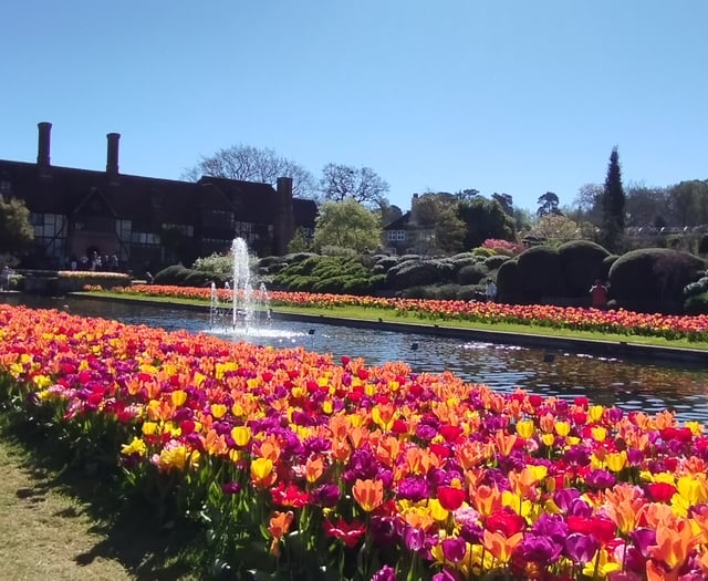 Hurray for spring and Mother Nature