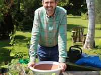 Touch of Frost can bring new ideas to your garden