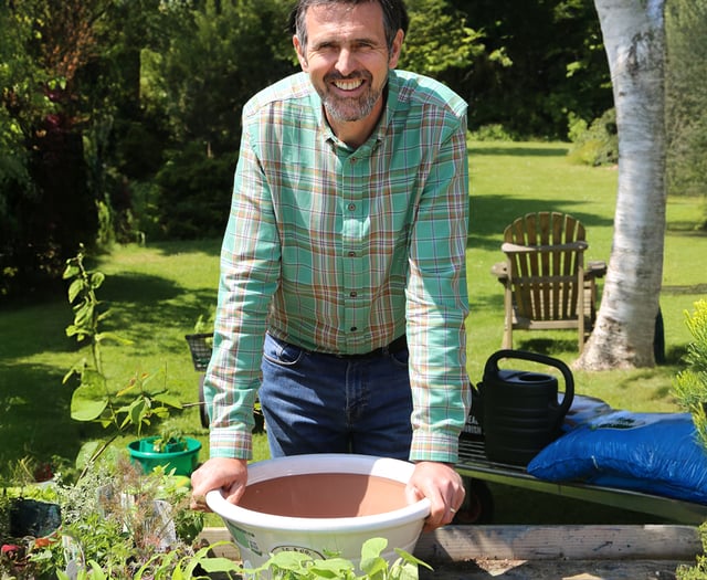 Touch of Frost can bring new ideas to your garden