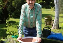 Touch of Frost can bring creativity to your garden