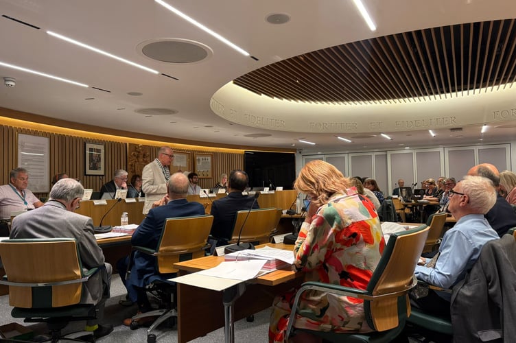Simon Higgins, speaking at a Guildford Borough Council meeting on July 30. (Credit: Emily Dalton/LDRS)