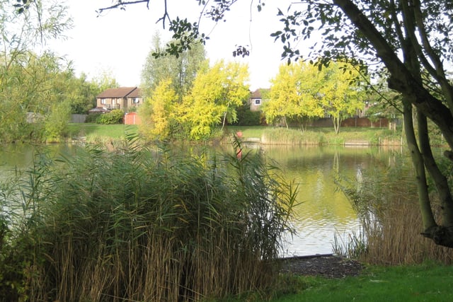 Goldsworth Park charity seeks to recruit trustees