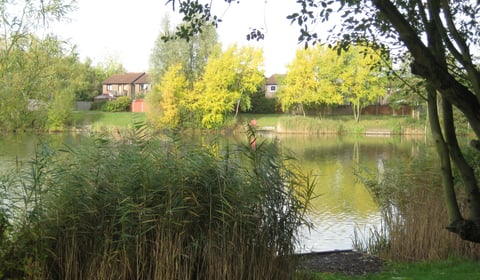 Goldsworth Park charity seeks to recruit trustees