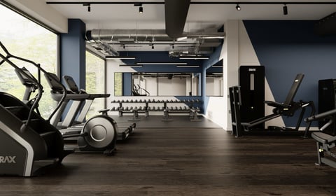 Owners hail new gym as 'most exciting project yet'