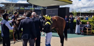 Peter Moore horse racing column: 2022 Grand National winner dies