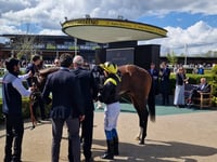 Peter Moore horse racing column: 2022 Grand National winner dies