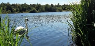 Boardwalk boosts nature reserve