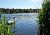 Boardwalk boosts nature reserve
