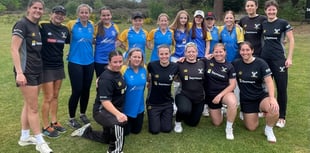 Pirbright Phoenix slip to defeat against Blackheath in hardball opener