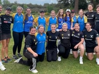 Pirbright Phoenix slip to defeat against Blackheath in hardball opener