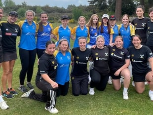 Pirbright Phoenix slip to defeat against Blackheath in hardball opener