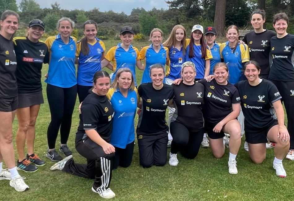 Pirbright Phoenix slip to defeat against Blackheath in hardball opener