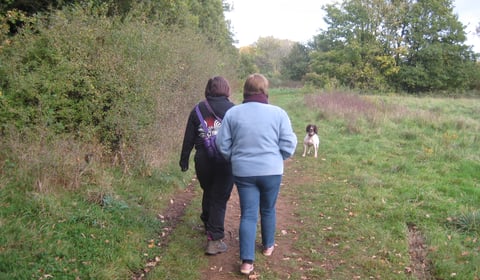 Start planning your walk on the wild side