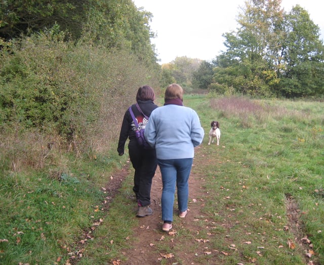 Start planning your walk on the wild side