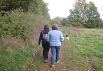 Start planning your walk on the wild side