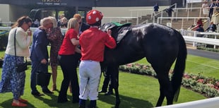 Sweet William shines at Royal Ascot Trials Day