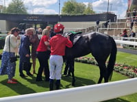 Sweet William shines at Royal Ascot Trials Day