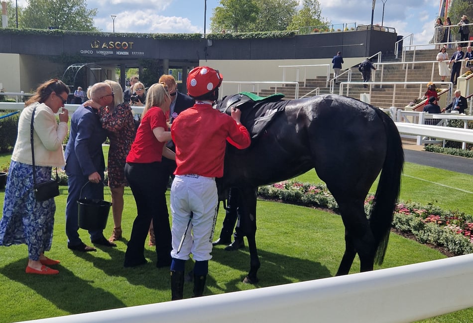Sweet William shines at Royal Ascot Trials Day