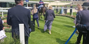 The Wizard Of Eye wins Carey Group Victoria Cup at Ascot