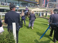 The Wizard Of Eye wins Carey Group Victoria Cup at Ascot