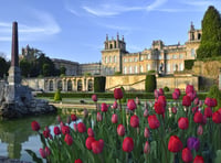 One of Britain’s most extraordinary days out at Blenheim Palace 